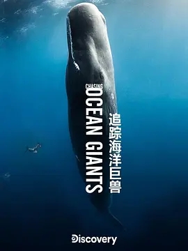 周杰伦回应《太阳之子》MV“大制作”